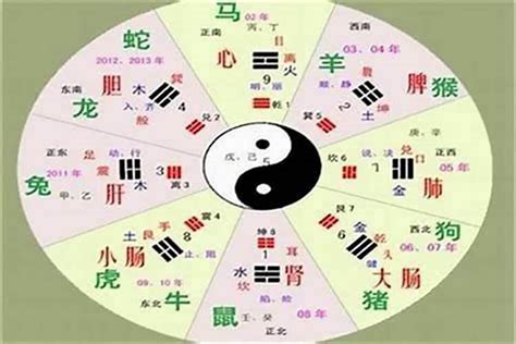 安的五行|安字的五行属性